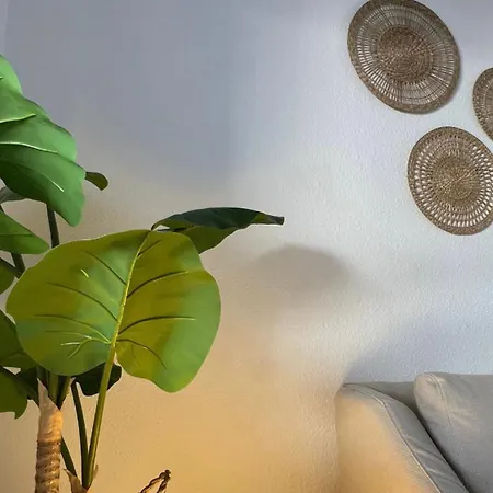 Olas Apartment